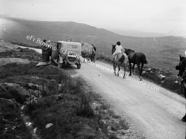 PANORAMA WITH HORSES